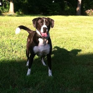 Meet your Posher, Christine